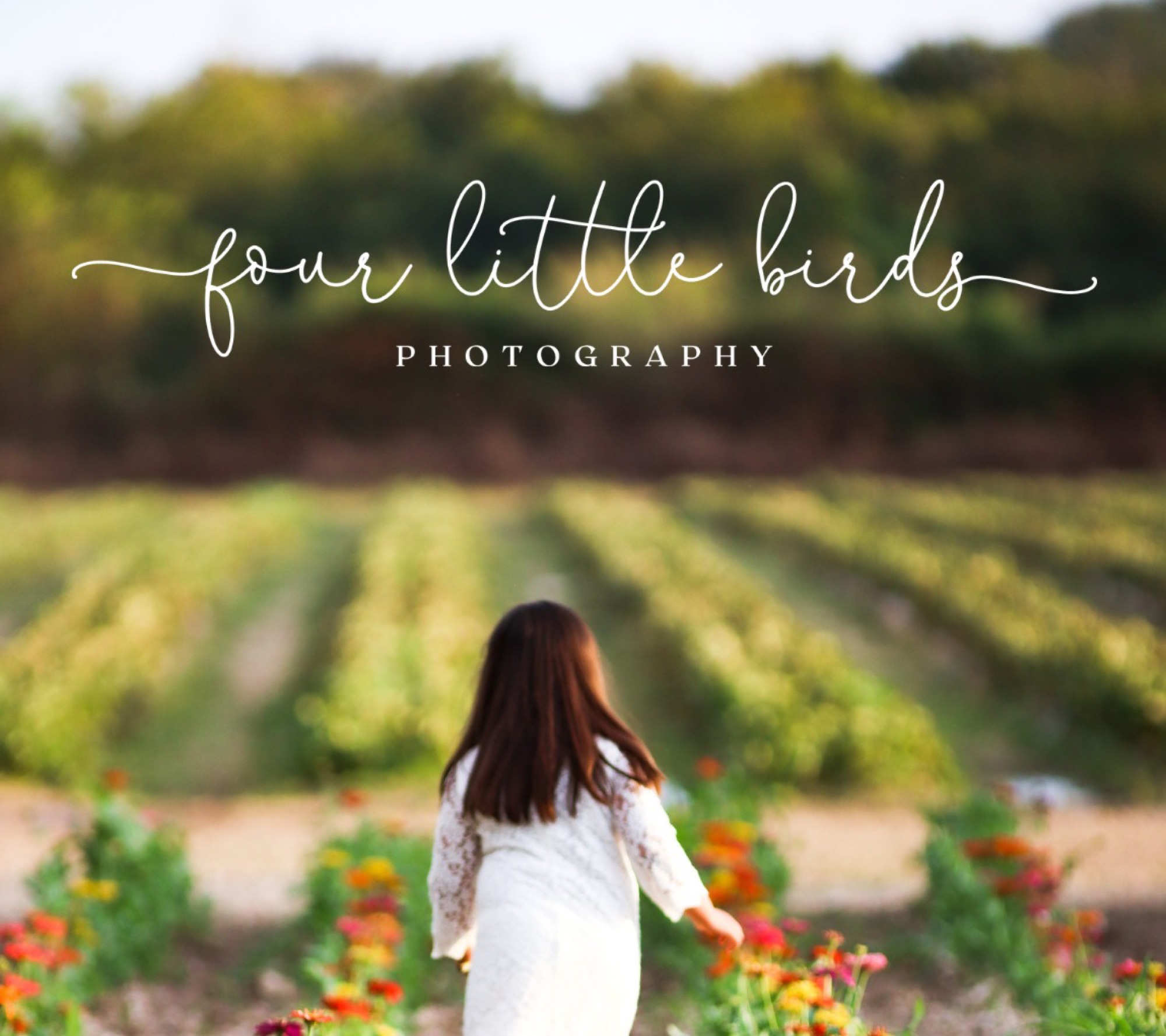 Cover of Nestlings, the free beginner's guide to photography by Four Little Birds
